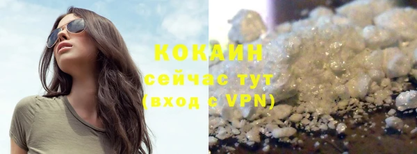 дживик Тында